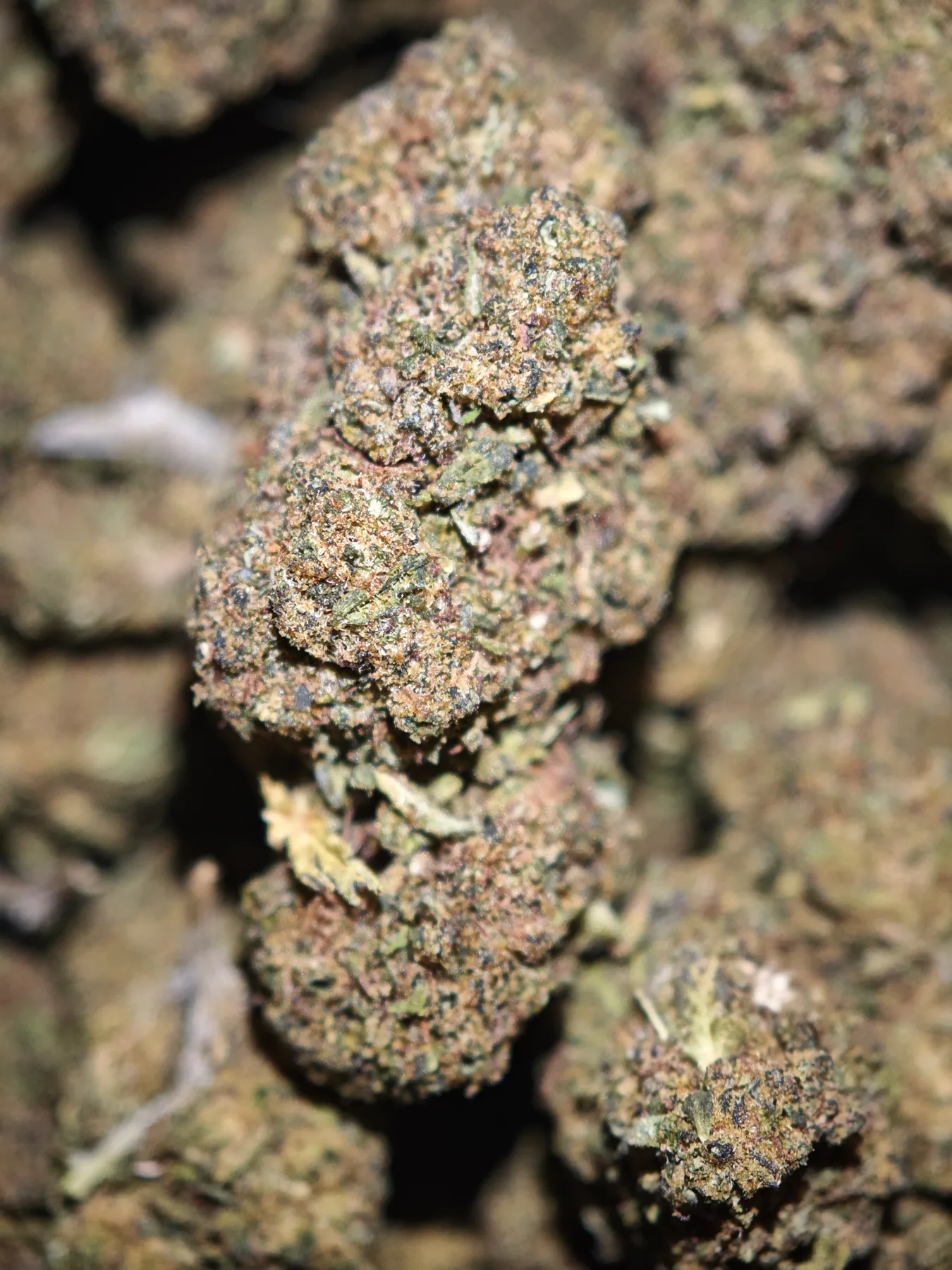 Plutonium
